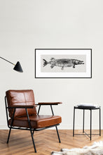 Load image into Gallery viewer, Pike (600x300 mm)