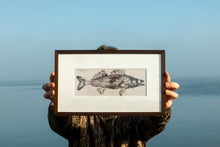 Load image into Gallery viewer, Zander (600x300 mm)