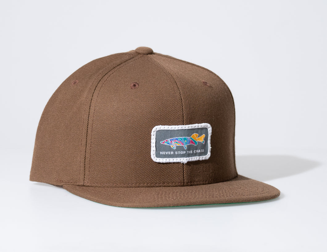 Dusk till Dawn Snapback 