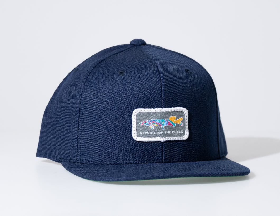 Dusk till Dawn Snapback 